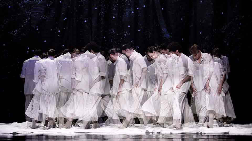 Ballett Theater Magdeburg Is Looking For Apprentice Dancers Season 2025/2026