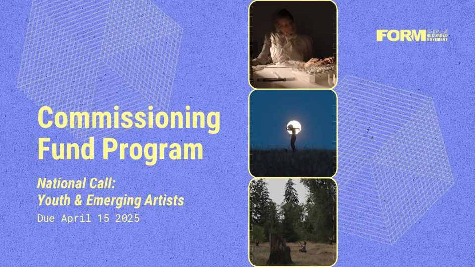 Commissioning Fund Program