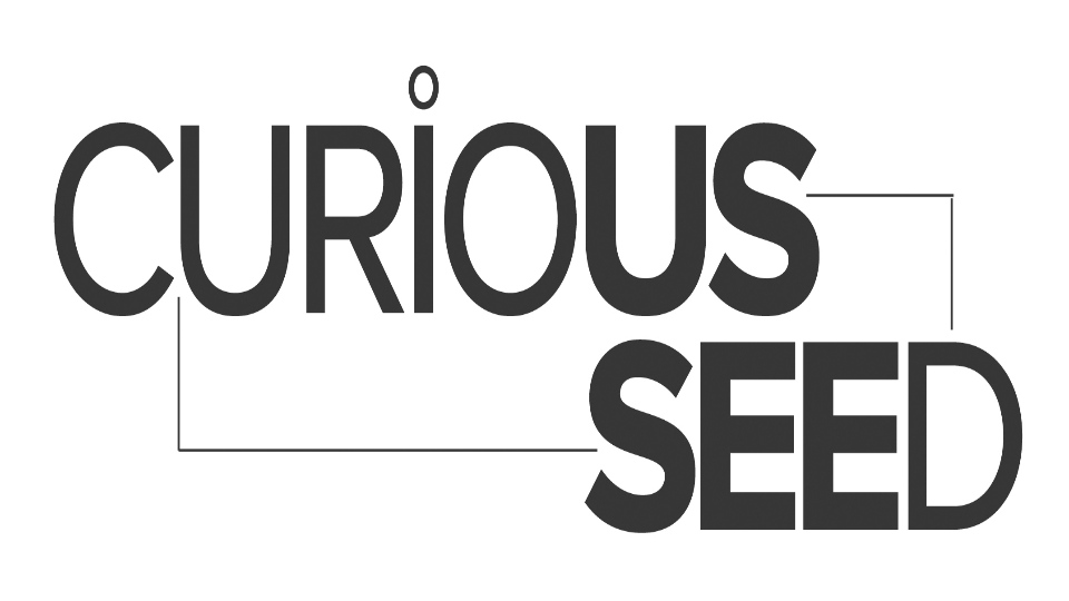 Engagement Artist / Curious Seed