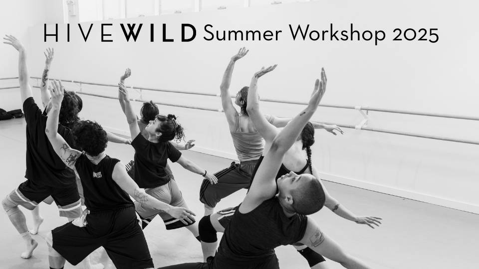 Hivewild’s Summer Workshop 2025