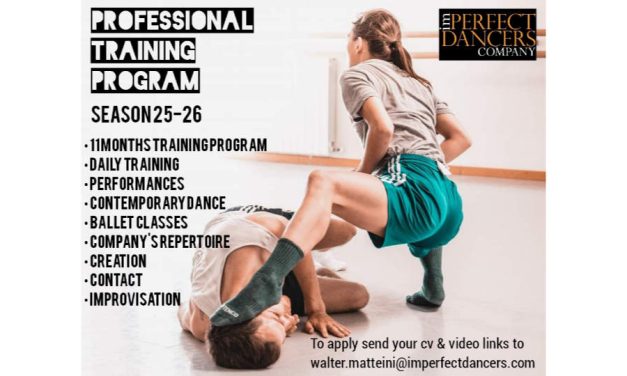 Professional Training Program By imPerfect Dancers Company