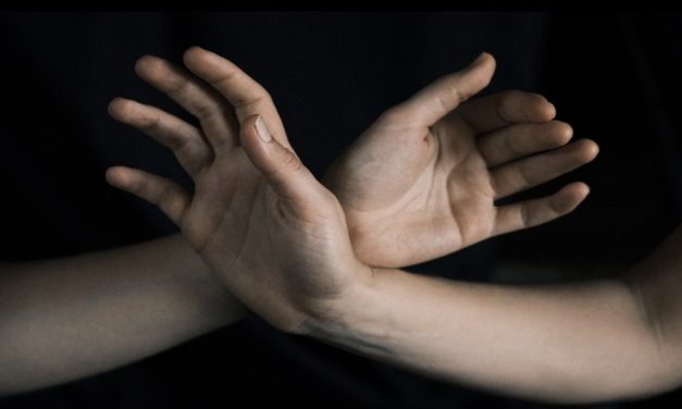 Towards CI53 Summer Residency – The Heart Plexus