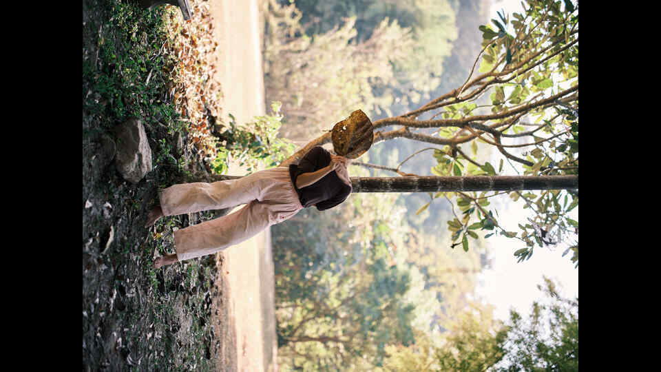 Towards CI53 Summer Residency – To Begin With The Act Of Giving