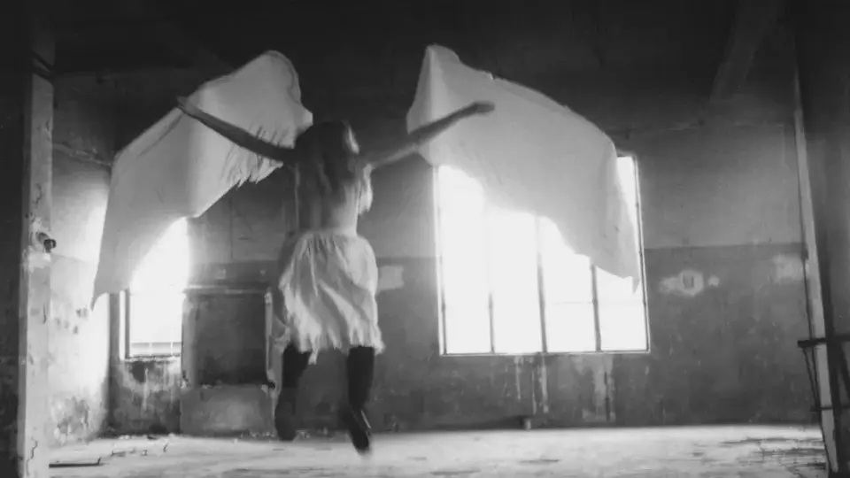 Writer Seeking Dancer/s